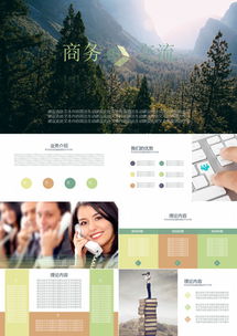 公司團隊項目介紹服務(wù)ppt模板下載 76頁 其他熊貓辦公